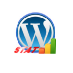 Wordpress Stats extension