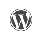 WordPress Checker