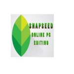 Snapseed Online PC extension