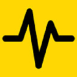 LCP & CLS Monitor Extension download