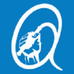 Qamshy News Extension download