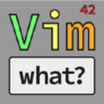 Vim what Extension download